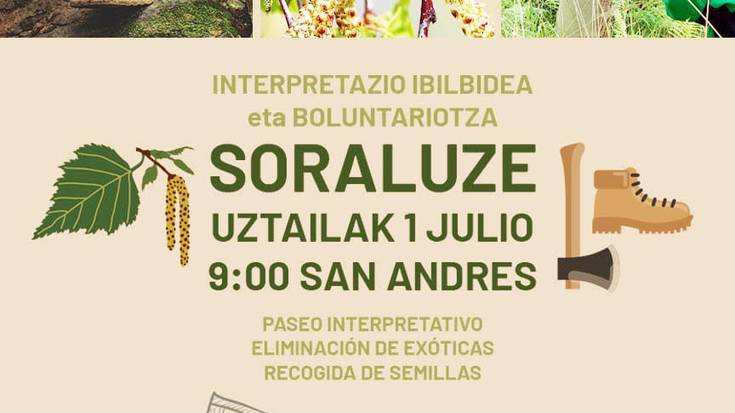 Interpretazio ibilaldia mendian (Baso Biziak)