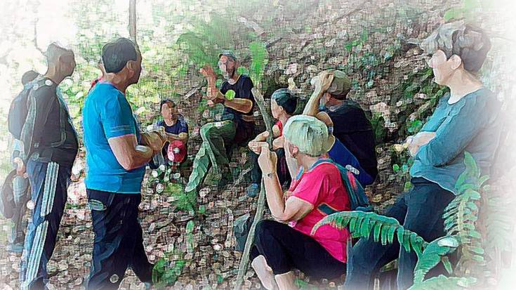 Ibilaldi gidatua mendian landatutako zuhaitzak ikusteko