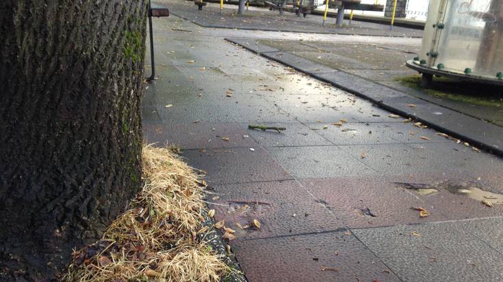 Haur parkeak herbizidekin fumigatu dituzte