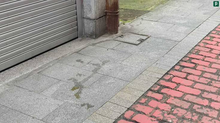 Txakur jabeei ardura hartzeko eta Udalari ikuskapenak egiteko eskaera