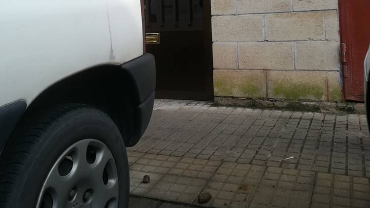 Poligonoan ere, txakur-kaka ugari
