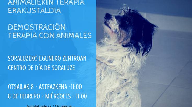 Animaliekin terapia erakustaldia