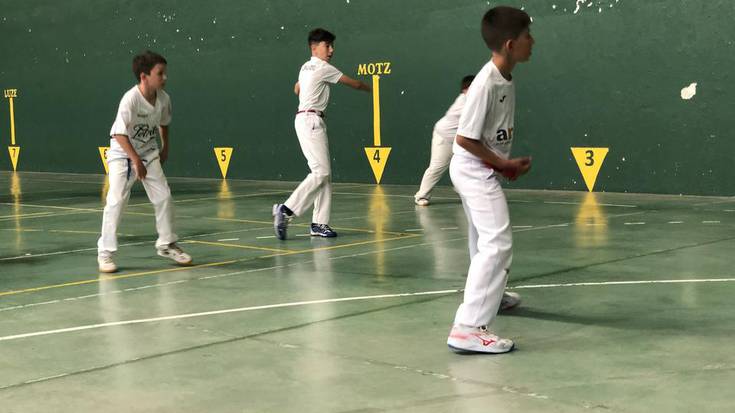 Gaur, pilota partidak