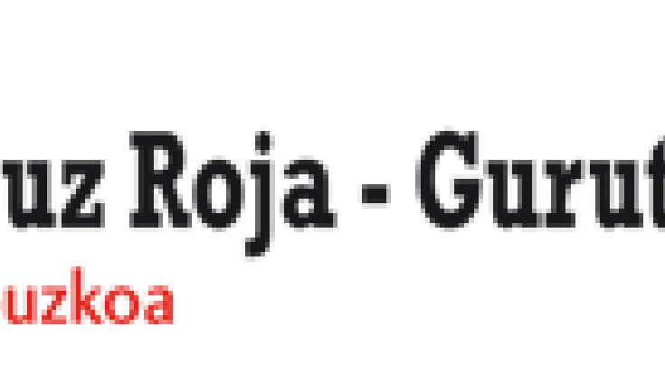 Gurutze Gorriaren txirotasun energetikoaren aurkako proiektua