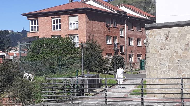 Etxeko animaliak zaintzeko gomendioak zabaldu dituzte