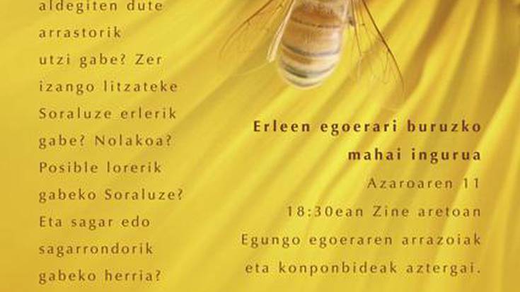 Zer izango litzateke Soraluze erlerik gabe? galderari erantzuna emango diote gaur 18:30ean Antzokian