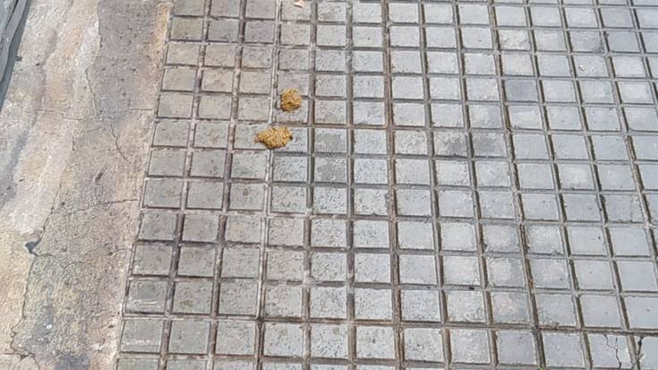 Noiz arte?