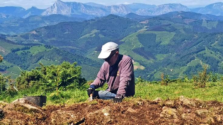 Aranzadik indusketak hasi ditu Atxolinen, eta lanerako boluntarioak behar dituzte