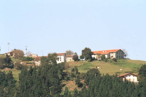 Erorikoa izan du emakume batek