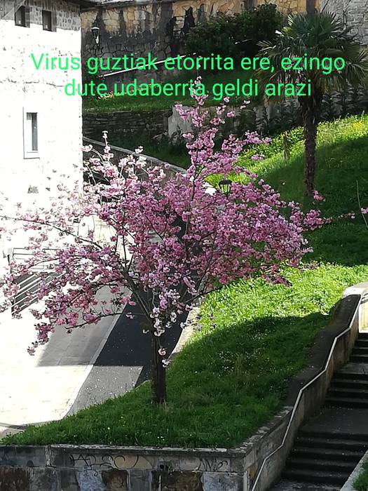 Udaberria eder-eder