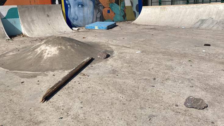 Skate gunea negargarri