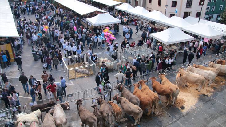 Gaur zortzi egingo da XXVI. Gaztañerre azoka