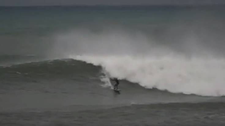 Markel surfean
