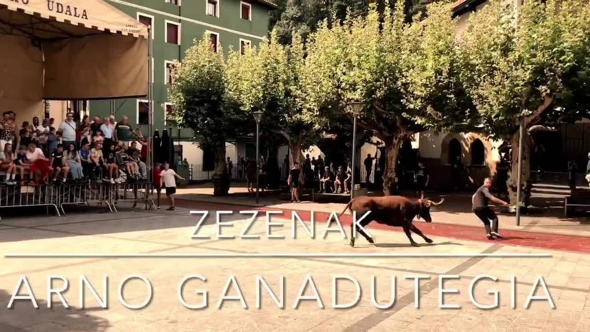 “Guretzat da Gipuzkoako, Euskal Herriko herririk politena zezenetan ibiltzeko”