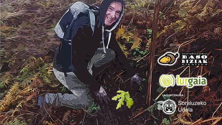 Zuhaitz landaketa, abenduaren 17an (larunbata), Azaliatxo baserriko lur sailetan