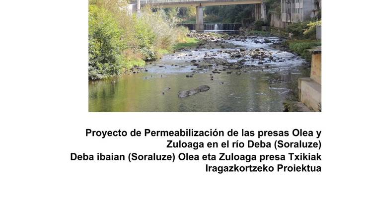 GDI: “Alegazioa aurkeztu diogu Aldundiaren proiektuari”